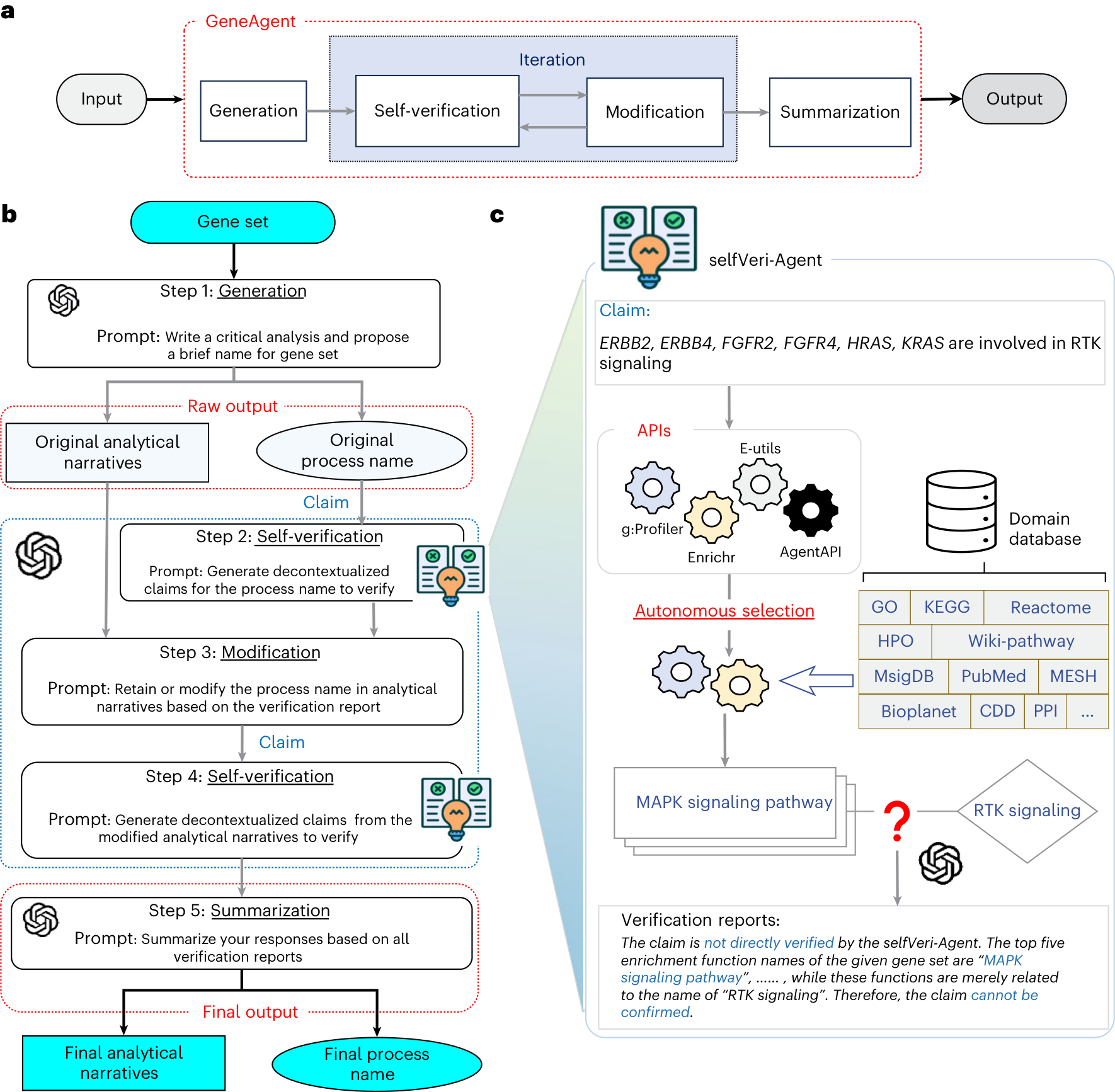 The GeneAgent self-verification loop.