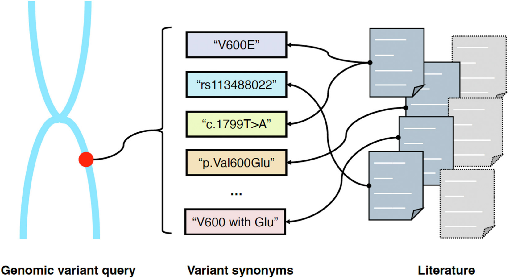 Variant-aware literature retrieval.