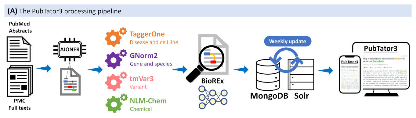 Official Figure 2A: PubMed and PMC literature passes through entity recognition, entity normalization, relation extraction, and storage for PubTator search.